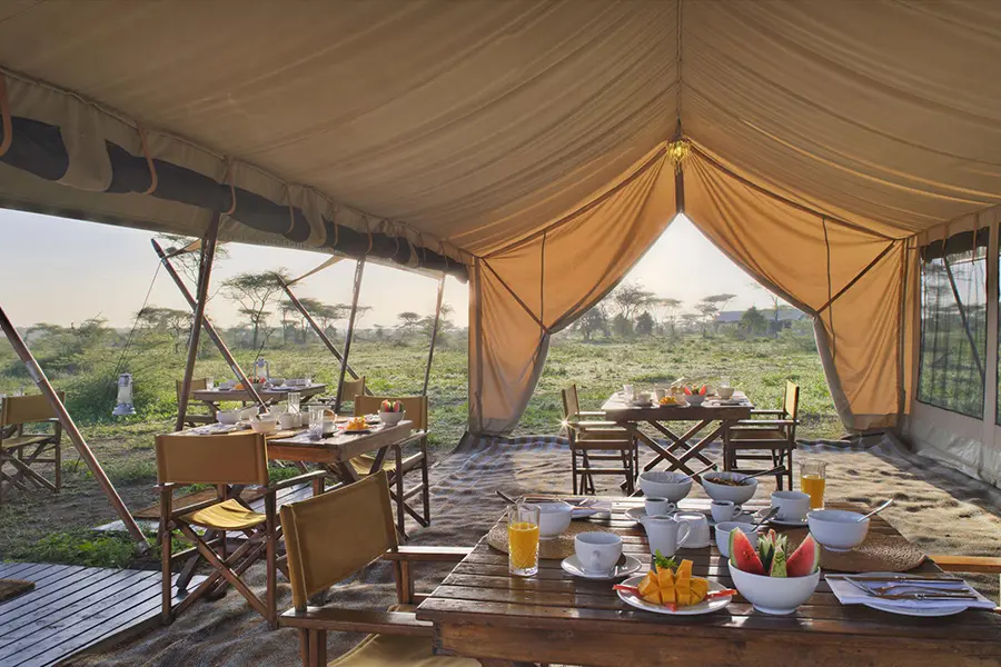 más allá del serengeti bajo el lienzo-2