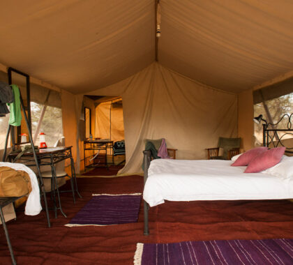 Standard tent bedroom