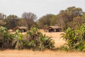 Exterior of the tents at Bologonya under canvas camp