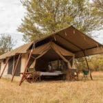 Exterior of the standard tent