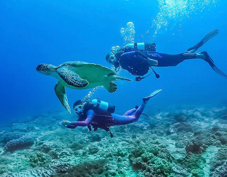 Scuba diver's paradise.