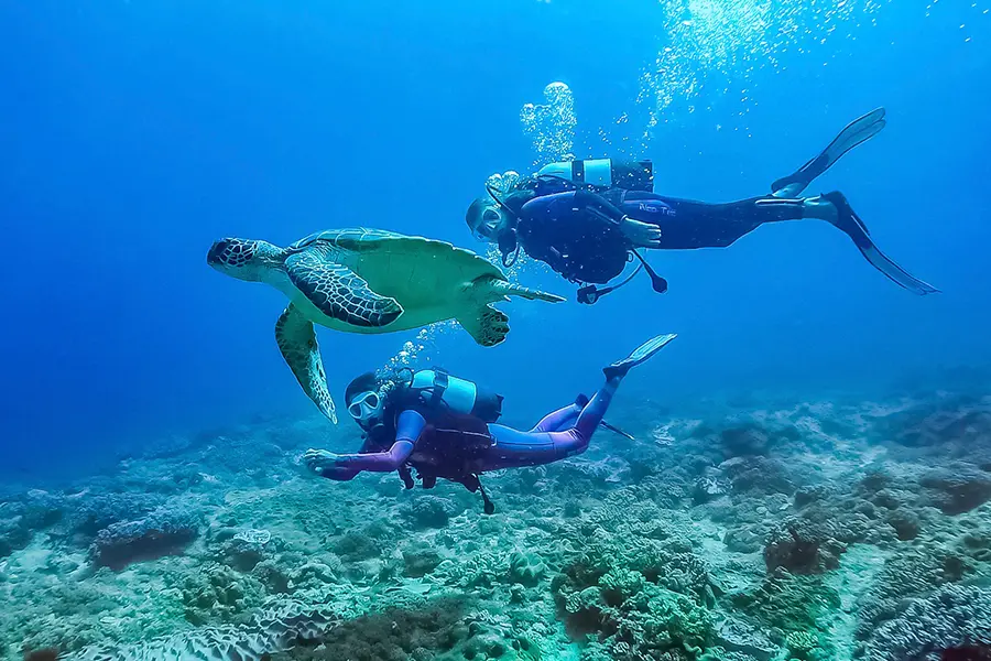 Scuba diver's paradise.