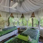 Enjoy a spa treatment. 