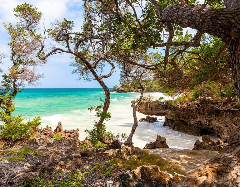 The island is a conserved habitat. 