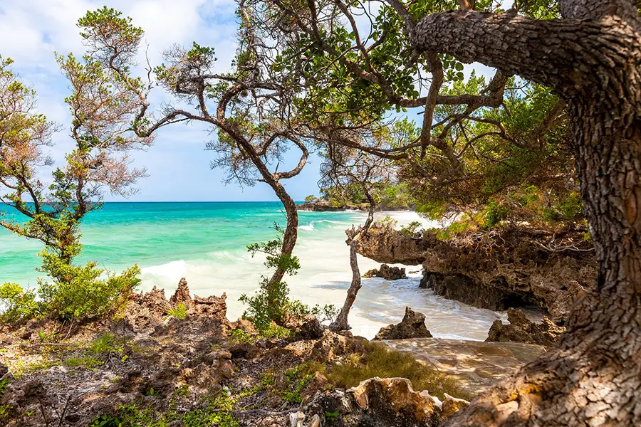 The island is a conserved habitat. 