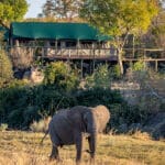 Exterior y fauna