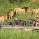 Las reservas privadas de África incluyen todas las actividades de observación de animales, ya sean safaris, paseos por la naturaleza o safaris nocturnos.