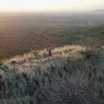 Bush walks.