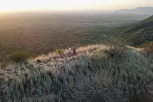 Bush walks.