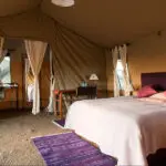Bedroom and living area