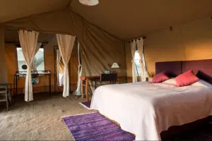 Bedroom and living area