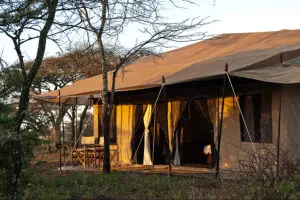 Exterior of Tent