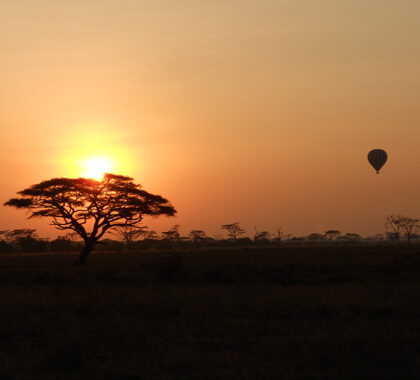 Sunset and Air balloon safari