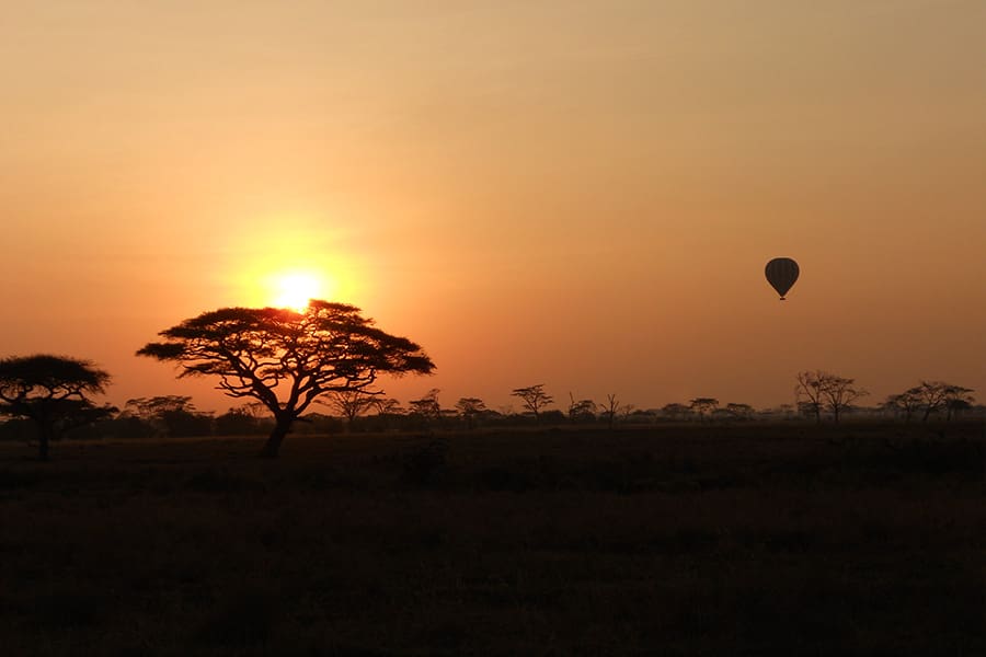 A tree stands tall and an air balloon drifts away against a Mara sunset at Mara Under Canvas