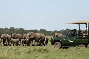 Masai-Mara-National-Reserve-2