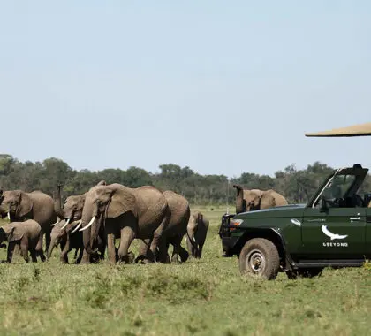 Masai-Mara-National-Reserve-2