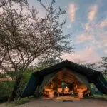 Exterior of Porini mara tent