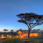 Empápese del increíble ambiente del Parque Nacional del Serengeti en Serengeti Under Canvas.