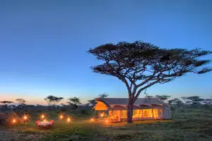 Empápese del increíble ambiente del Parque Nacional del Serengeti en Serengeti Under Canvas.