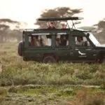 Durante su estancia en Serengeti Under Canvas, dispondrá de un vehículo de safari con techo elevable para la observación de animales.