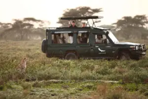 Durante su estancia en Serengeti Under Canvas, dispondrá de un vehículo de safari con techo elevable para la observación de animales.