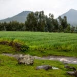 Paisaje
