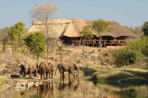 The Wallow Lodge exterior.