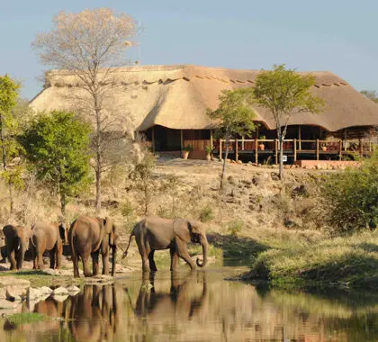 The Wallow Lodge exterior.