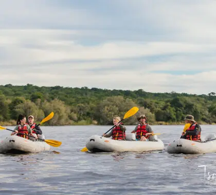 Surque las aguas del río Zambeze en canoa.