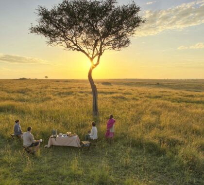 Sundowners in the Masai Mara, Kenya | Go2Africa