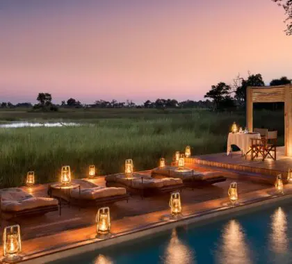Los 20 mejores campamentos y lodges de lujo para safaris en Botsuana