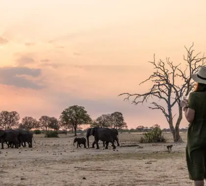 Los 10 mejores safaris por Zimbabue