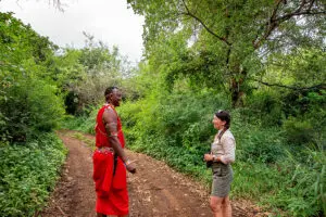 Disfrute de paseos por la naturaleza con los masai | Rhino River Camp
