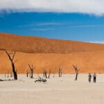 Sossusvlei y su vecino Deadvlei, algo menos famoso.