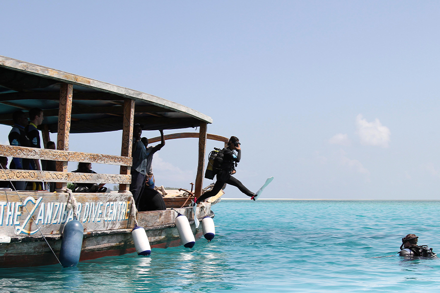 Scuba divers & snorkellers will love Zanzibar's underwater world; the smaller Zanzibar islands such as Mafia are especially good.