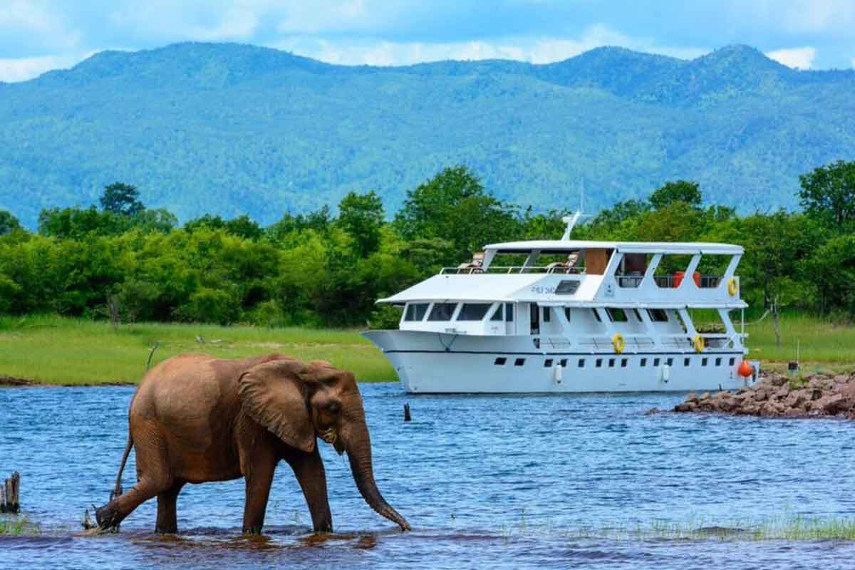 Embárquese en unas vacaciones familiares por las cataratas de Zimbabue, Hwange y Kariba.
