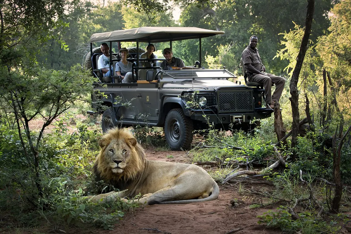 People spotting lion from a safari vehicle in Kruger National Park | South Africa Safari | Go2Africa