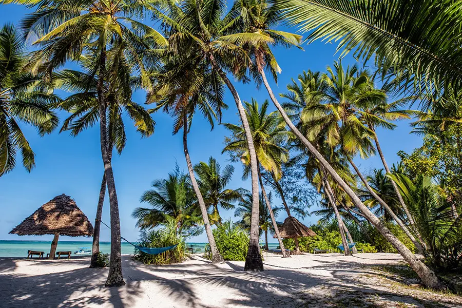 Pongwe Beach Hotel in Zanzibar, Tanzania | Go2Africa