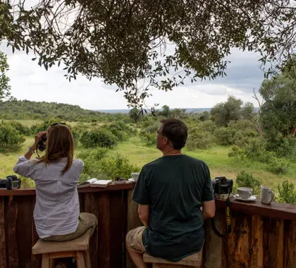 Mirando a los animales cercanos