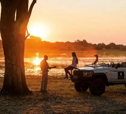 Proceso de reserva de safaris