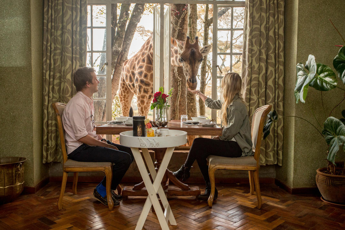 giraffe-manor