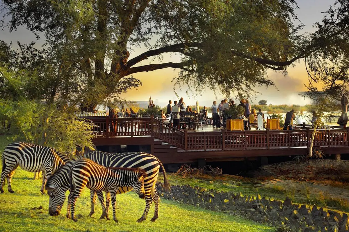 hotel royal-livingstone-2