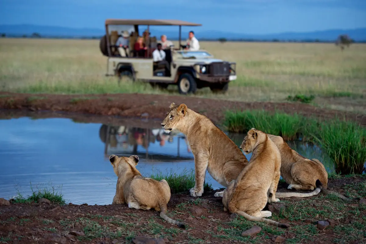 singita-serengeti-casa-2