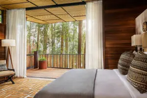 Dormitorio Forest King.