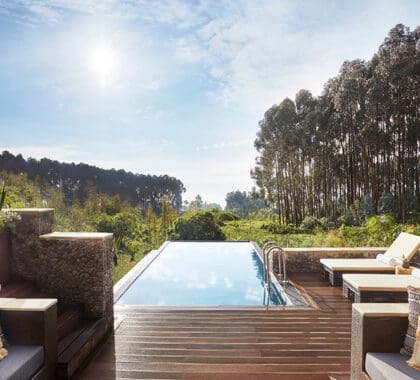 Suite Silverback con vistas a la piscina.