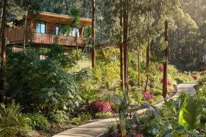 Exterior de la villa Gorillas Nest.