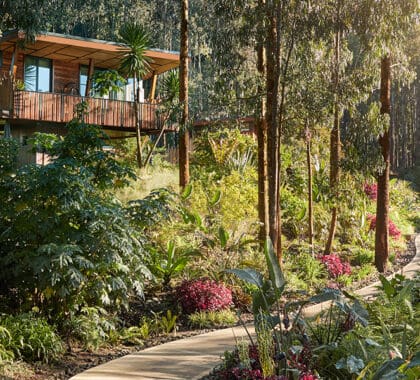 Exterior de la villa Gorillas Nest.