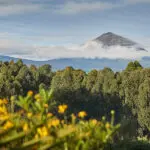 Vistas al volcán.
