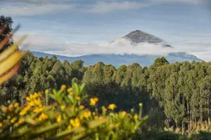 Vistas al volcán.