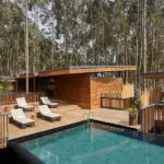 Piscina Gorillas Nest.
